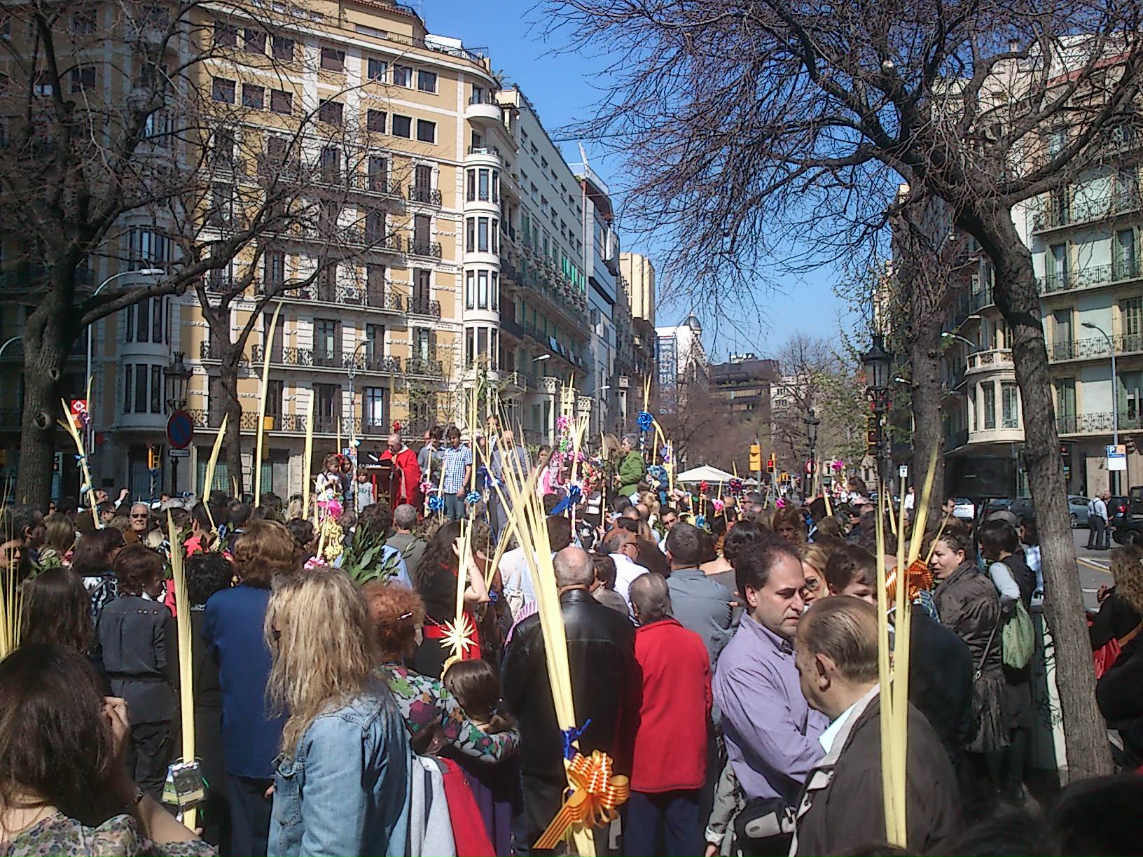 Benedicció dels rams